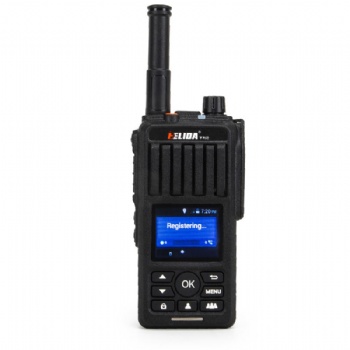Network Handheld Radio