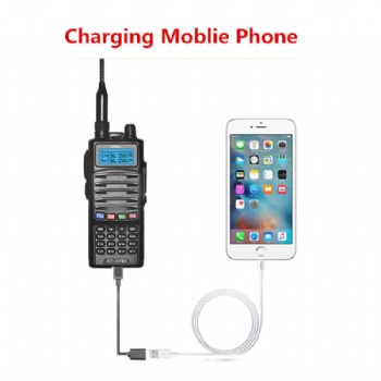DMR/DPMR Walkie Talkie